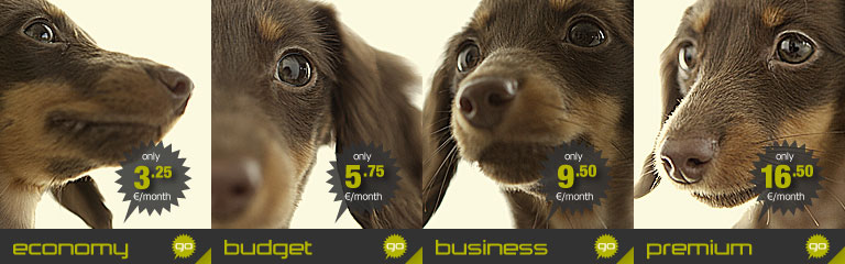 Banner image for the SSD Economy shared webhosting plan by Hostdog